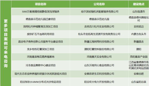 銅仁節(jié)能評估 專家團(tuán)隊(duì)領(lǐng)航，開發(fā)項(xiàng)目精益求精